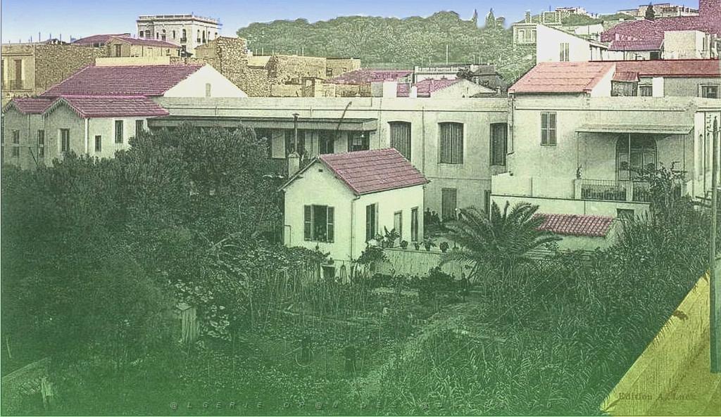 Oran .Les dames Africaines.jpg